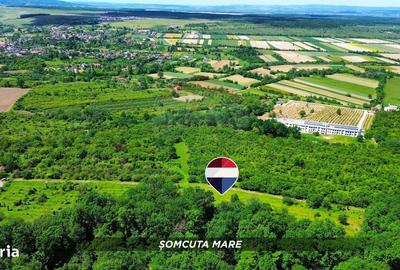 Spațiu comercial, în Hovrila - 9
