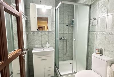 Apartament cu 4 camere decomandat în Dosu Bricii - 5