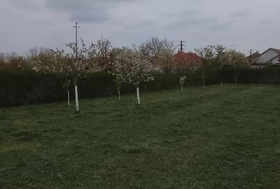 Casă cu 3 camere cu Teren 1084 Mp în Central - 2