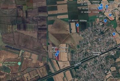 Teren de 10000 mp, în Sânmihaiu Român - 6