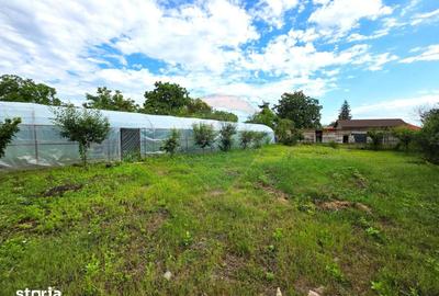 Casă cu 7 camere cu Teren 3200 Mp în Merei - 8