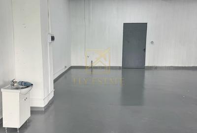 Spațiu industrial, de 180 mp, în Theodor Pallady - 6