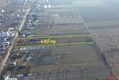 Teren de 6057 mp, în Vânători
