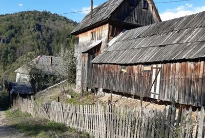 Casă cu 4 camere în Meștera