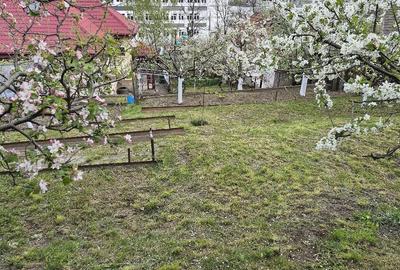 Casă cu Teren 750 Mp în Central - 1