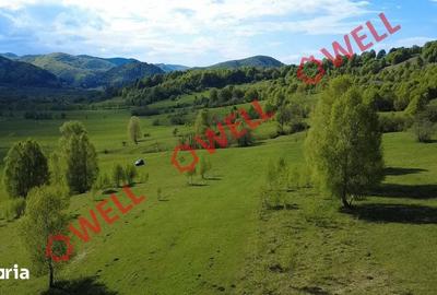 Teren de 1740 mp, în Vama Buzăului - 6