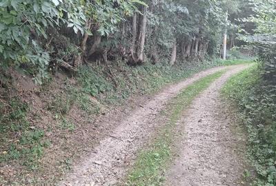 Teren în Valea