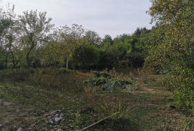 Casă individuală cu 4 camere cu Canalizare în Vest - 18