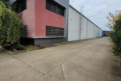 Spațiu industrial, de 2,400 mp, în Central - 1