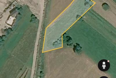 Teren de 2500 mp, în Putna