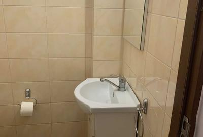 Spațiu comercial, de 43 mp, în Careiului - 1