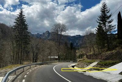 Teren de 10000 mp, în Izvoru - 1