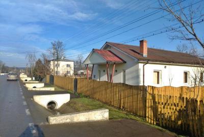 Casă cu 5 camere cu Teren 700 Mp în Viișoara - 1