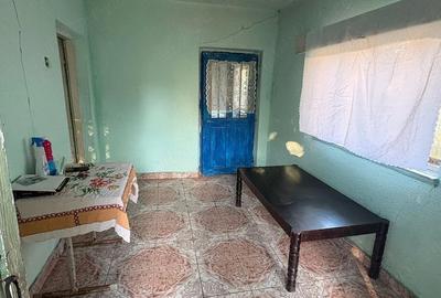 Casă cu Teren 1500 Mp în Târgu Logrești - 5