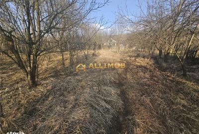 Casă cu 4 camere cu Teren 1000 Mp în Vâlcănești - 9