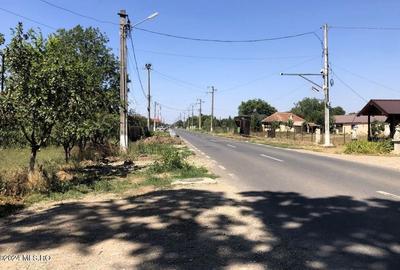Teren Construcții extravilan de 11884 mp, în Moara Vlăsiei - 6