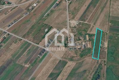Teren de 5800 mp, în Jucu
