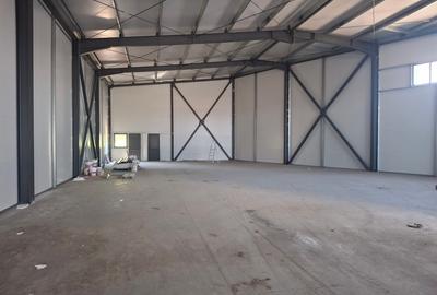 Spațiu industrial, de 580 mp, în Jilava - 3