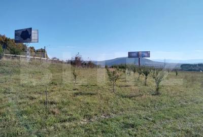 Teren de 15000 mp, în Viișoara - 1