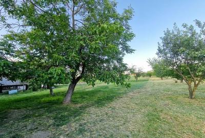 Casă cu 4 camere cu Teren 2700 Mp în Girișu de Criș - 6