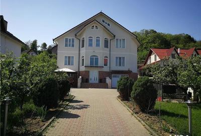 Casă cu 14 camere cu Teren 2500 Mp în Viișoara - 6