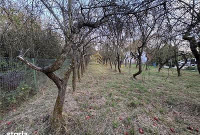 Teren de 1200 mp, în Viișoara