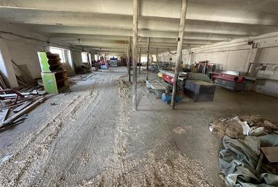 Spațiu industrial, de 400 mp, în Sud-Est - 3