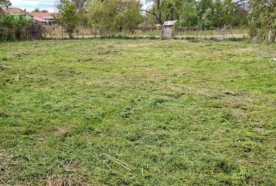 Casă cu 4 camere în Viștea - 9