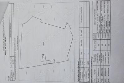 Teren de 4473 mp, în Acriș - 6