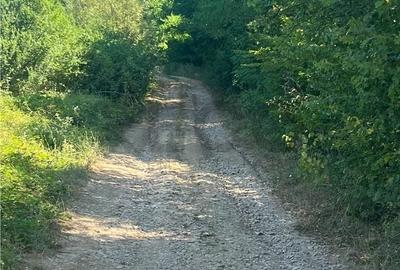 Teren de 21300 mp, în Lăzăreni
