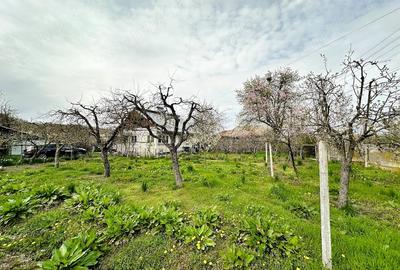 Casă cu Teren 2470 Mp în Mârțești - 17