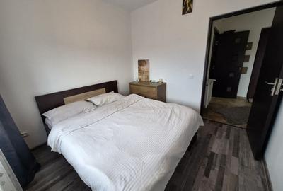 Apartament cu 2 camere decomandat, mobilat în Dudu - 13