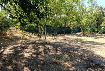 Teren de 2260 mp, în Poiana Lacului