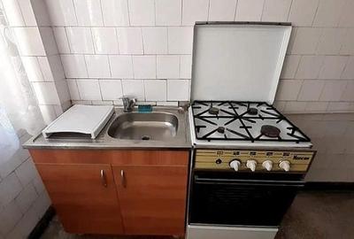 Apartament cu 2 camere semidecomandat în Podu Roș - 2