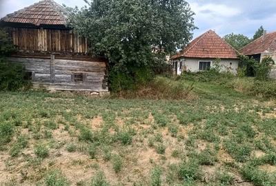Casă cu Teren 900 Mp în Sâg