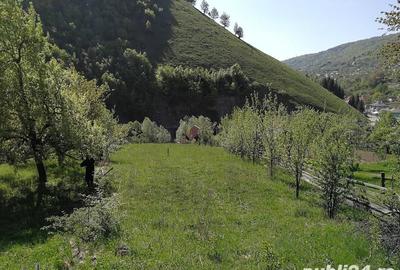 Teren de 1510 mp, în Leșu - 8