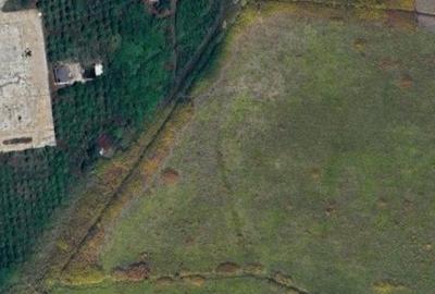 Teren agricol extravilan de 7781 mp, în Mehala - 2