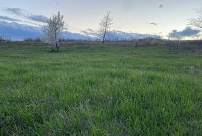 Teren de 2500 mp, în Hlincea
