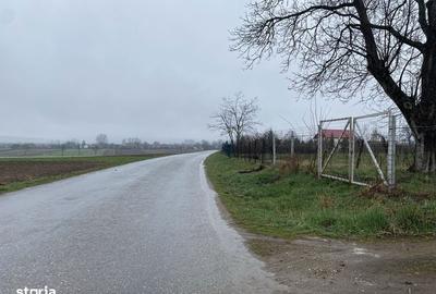 Teren de 1203 mp, în Comana - 1