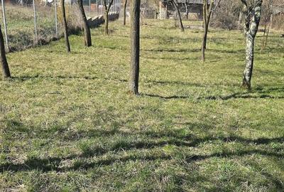 Casă cu Teren 33 Mp în Central - 1