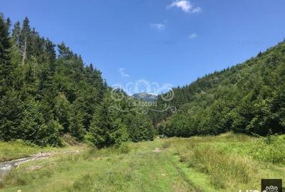 Teren de 63000 mp, în Bughea de Sus - 4