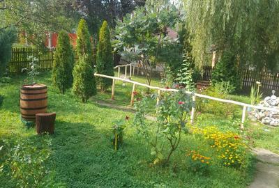 Casă cu 4 camere în Provița de Jos