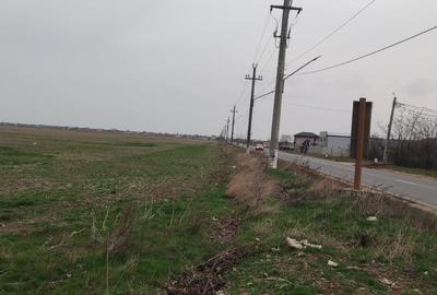 Teren Construcții intravilan de 5000 mp, în Tânganu - 1