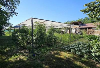 Casă cu 4 camere cu Teren 1912 Mp în Munteni-Buzău