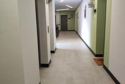Apartament cu 3 camere decomandat, mobilat în Iancului