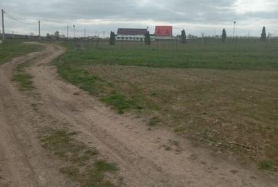 Teren de 3500 mp, în Mitocu Dragomirnei
