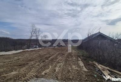 Teren în Albota - 3