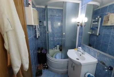 Casă cu Teren 1151 Mp în Oravița - 19