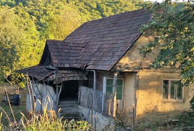 Casă cu 3 camere în Căpruța - 5