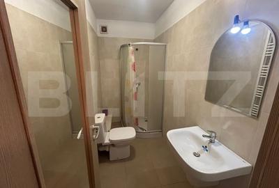 Apartament cu 3 camere decomandat, mobilat în Lunca Cetățuii - 12
